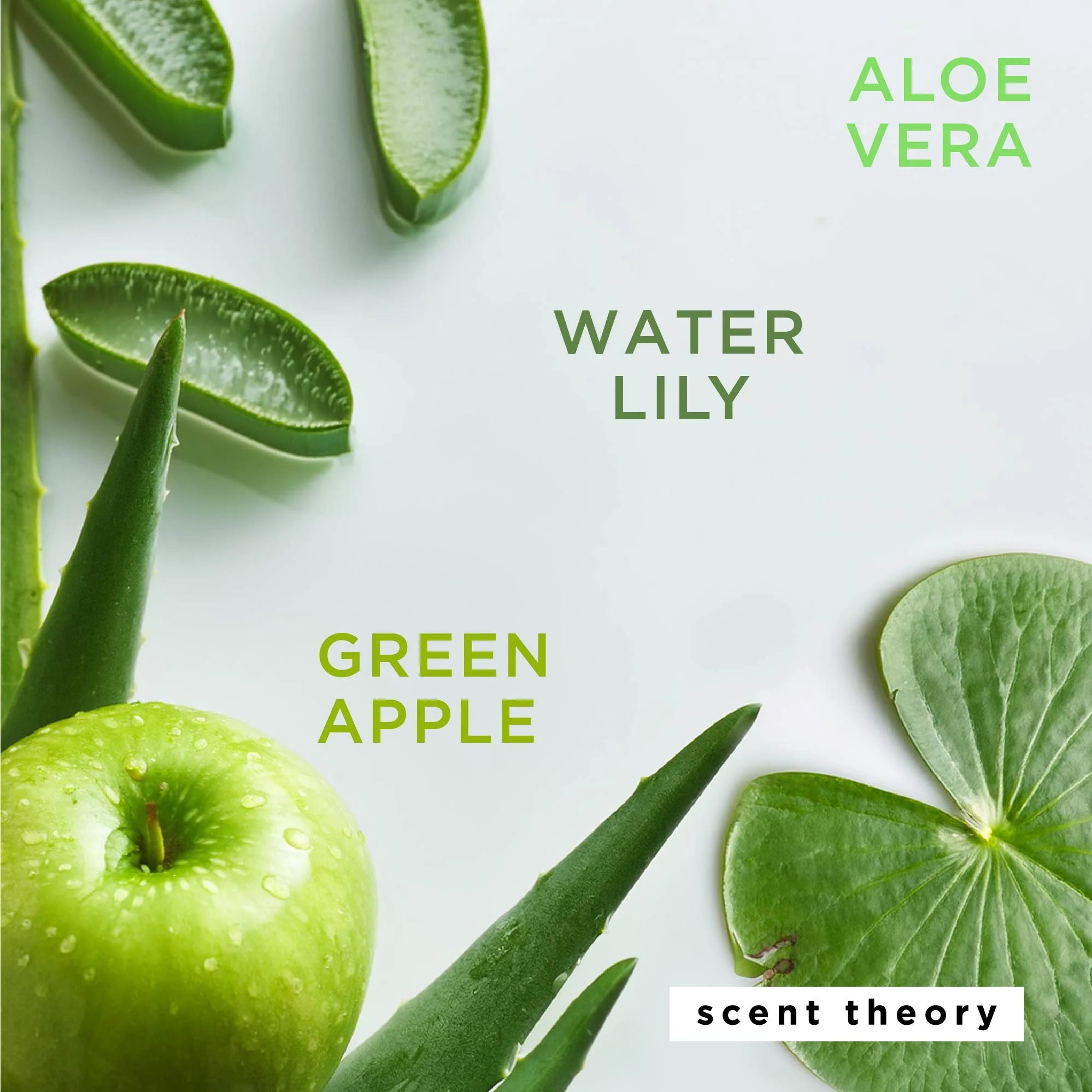 (2 Pack)  Foaming Hand Soap, Island Aloe, 11 Fl Oz