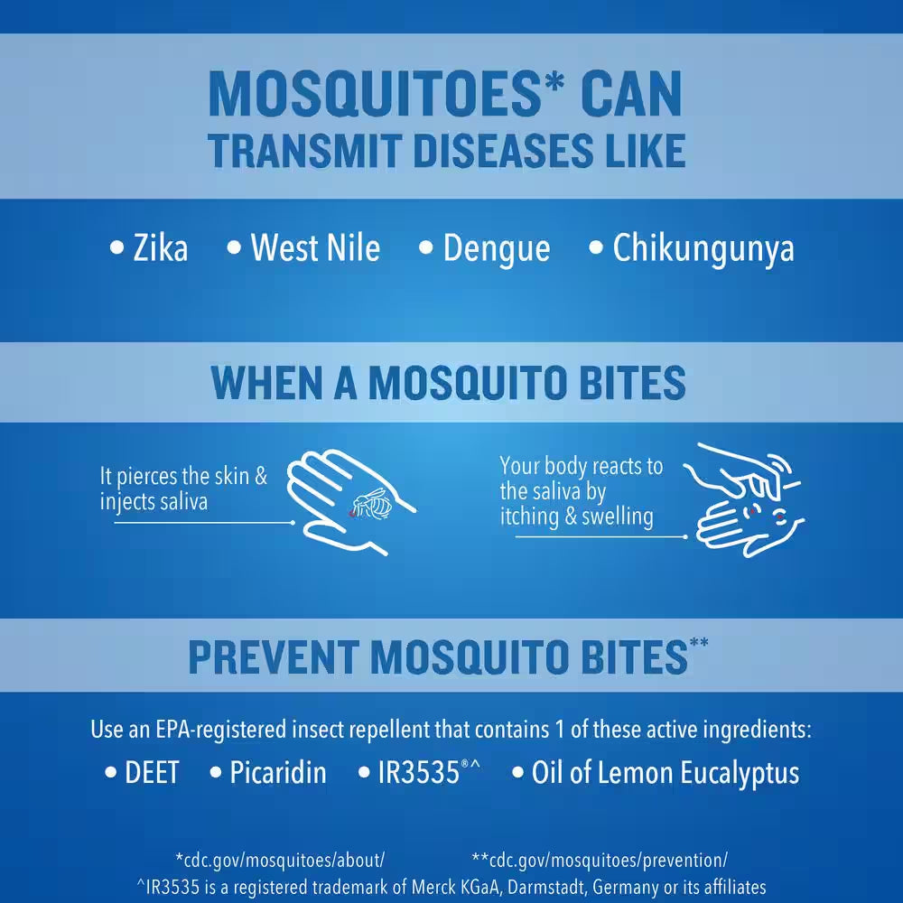 6 Oz. Backwoods Insect Repellent Aerosol Twin Pack