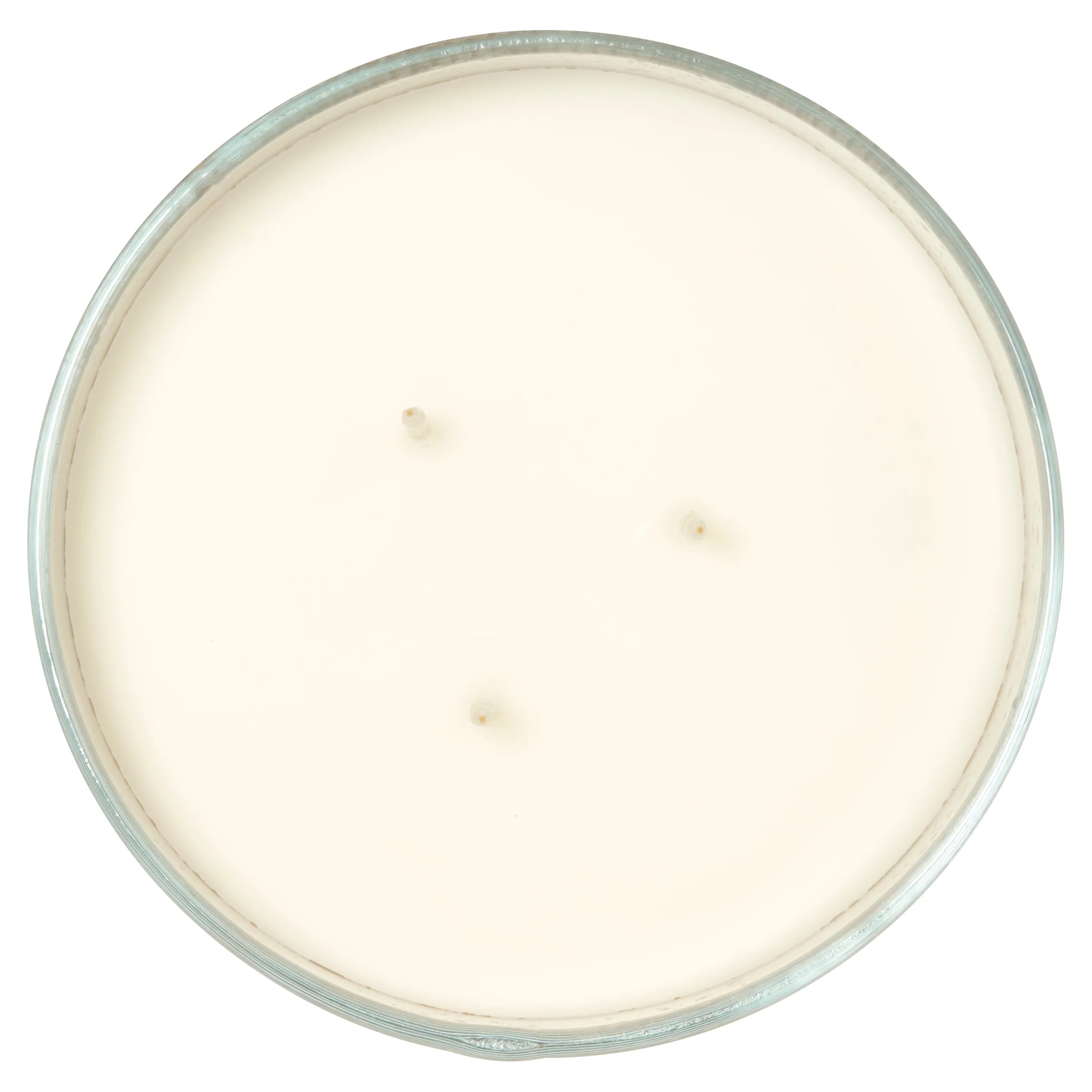 3-Wick Textured Wrapped Cranberry Mandarin Scented Candle, 14 Oz