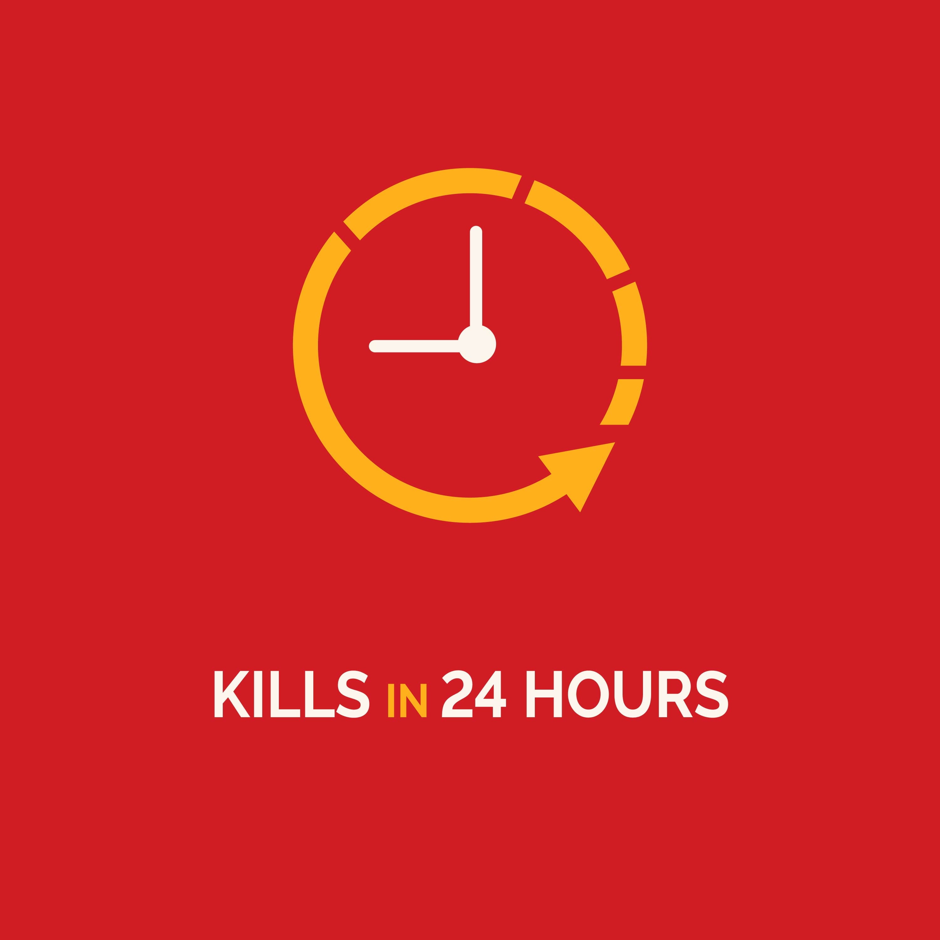 Ultra Liquid Ant Bait, Kills Common Household Ants, 4 Count