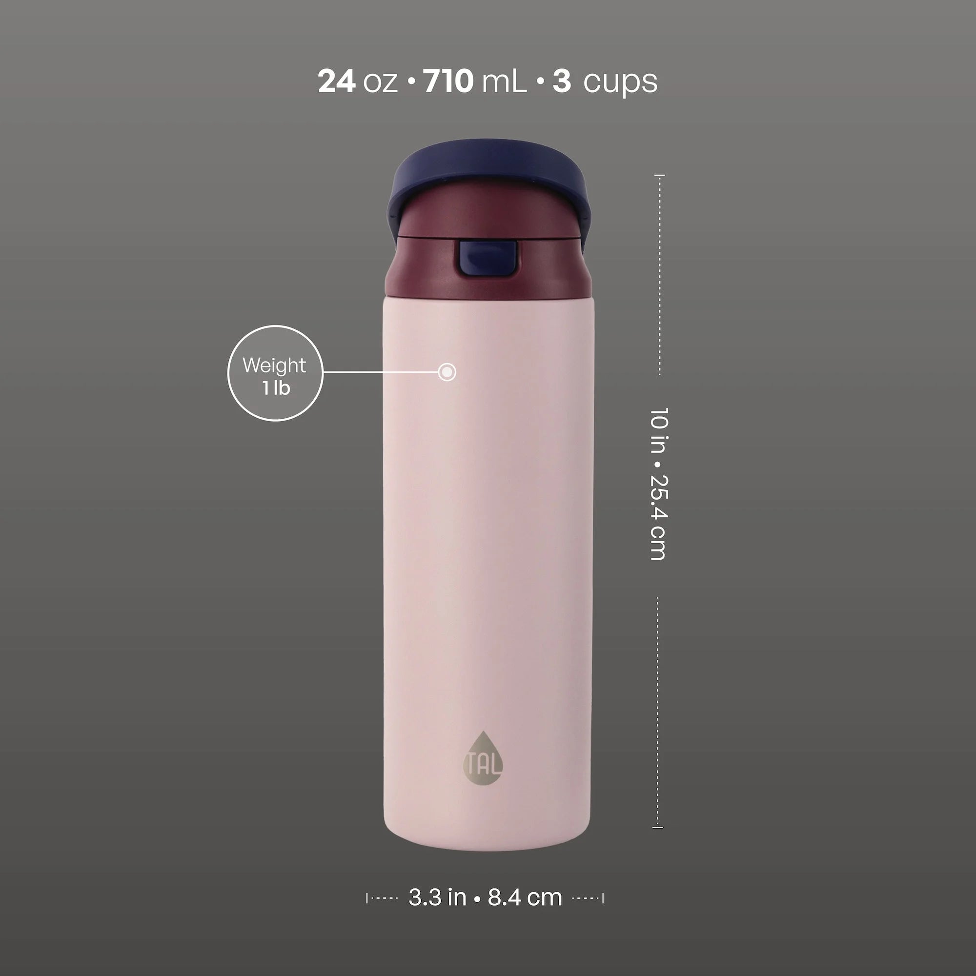 Stainless Steel 2-In-1 Straw and Chug Water Bottle with Push Lid 24 Fl Oz, Mauve