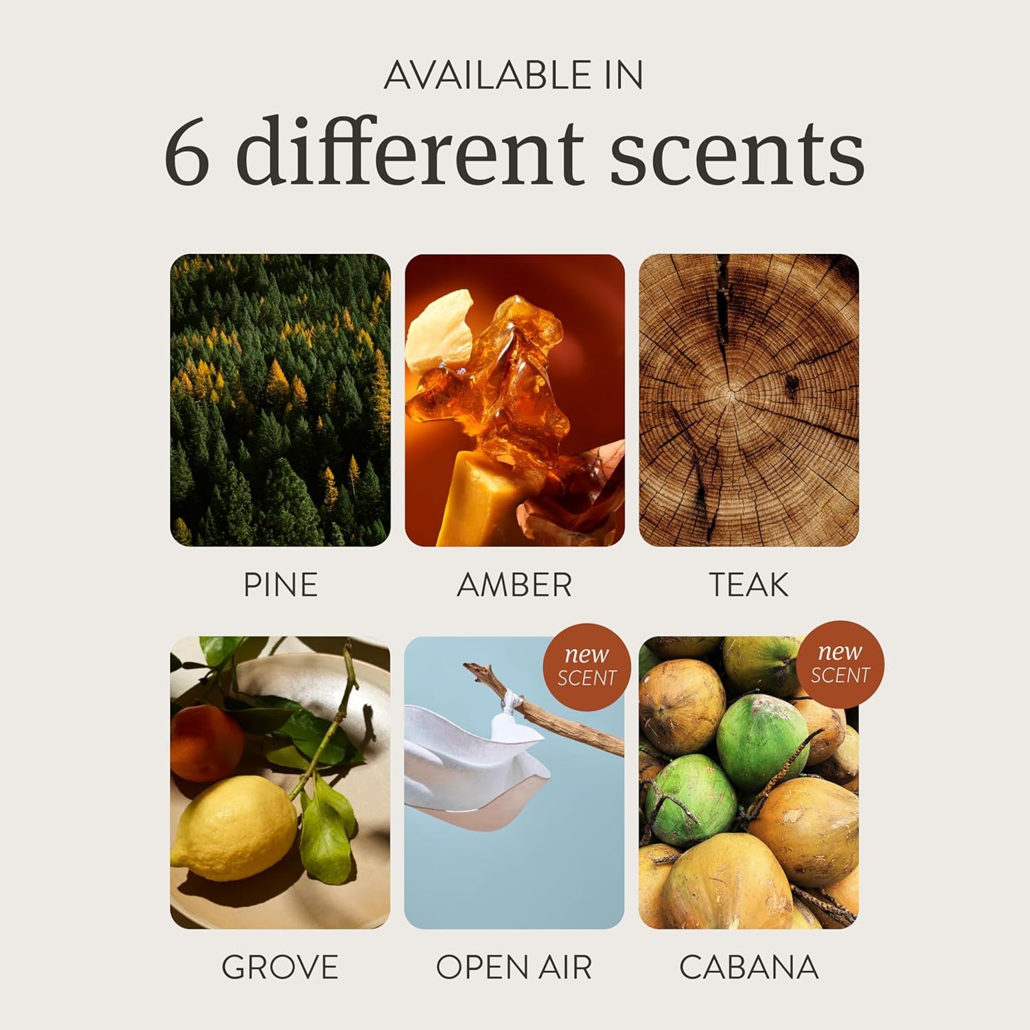 Drift Car Air Freshener - Wood Air Freshener - Car Odor Eliminator - Amber Scent