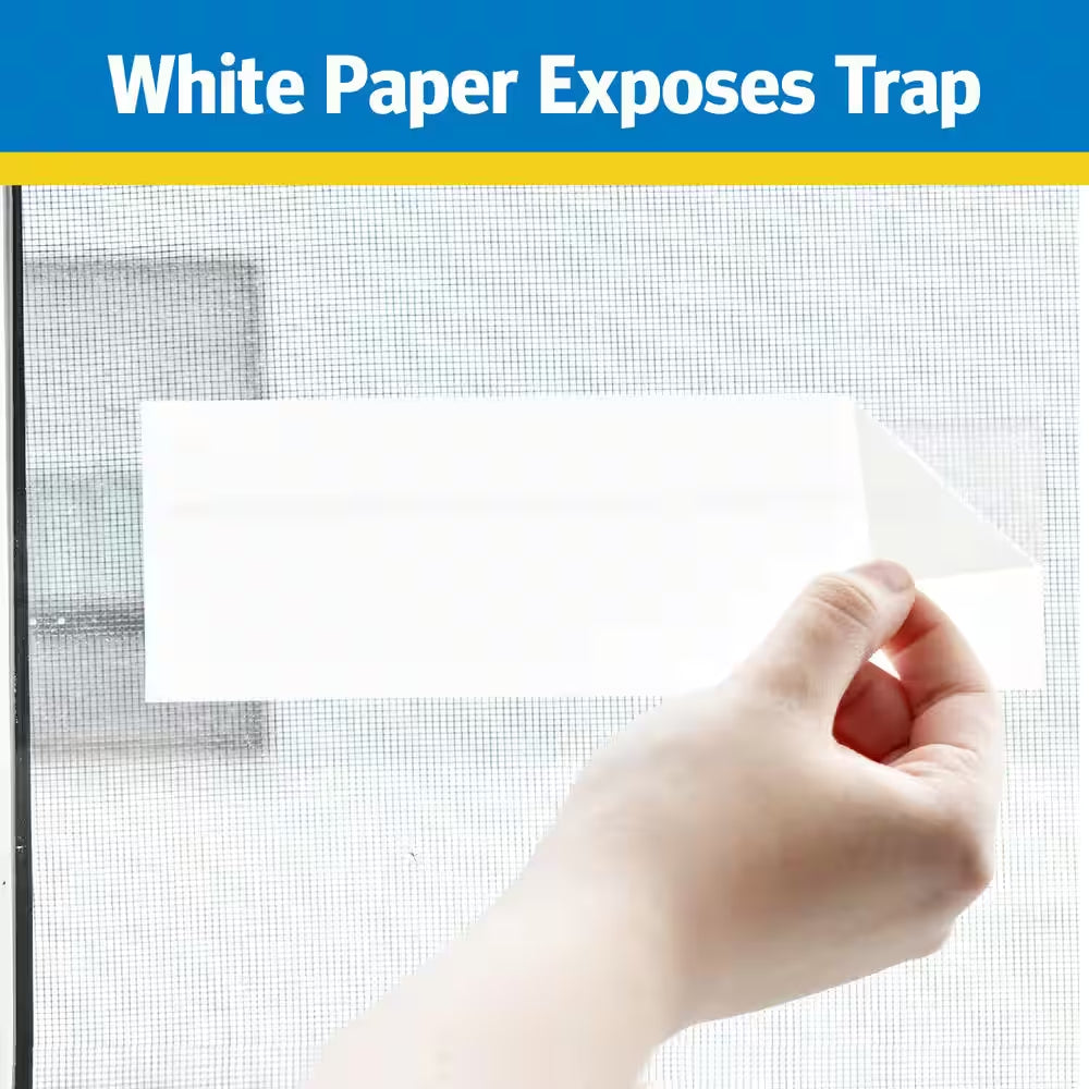 Window Fly Trap (4- Pack)