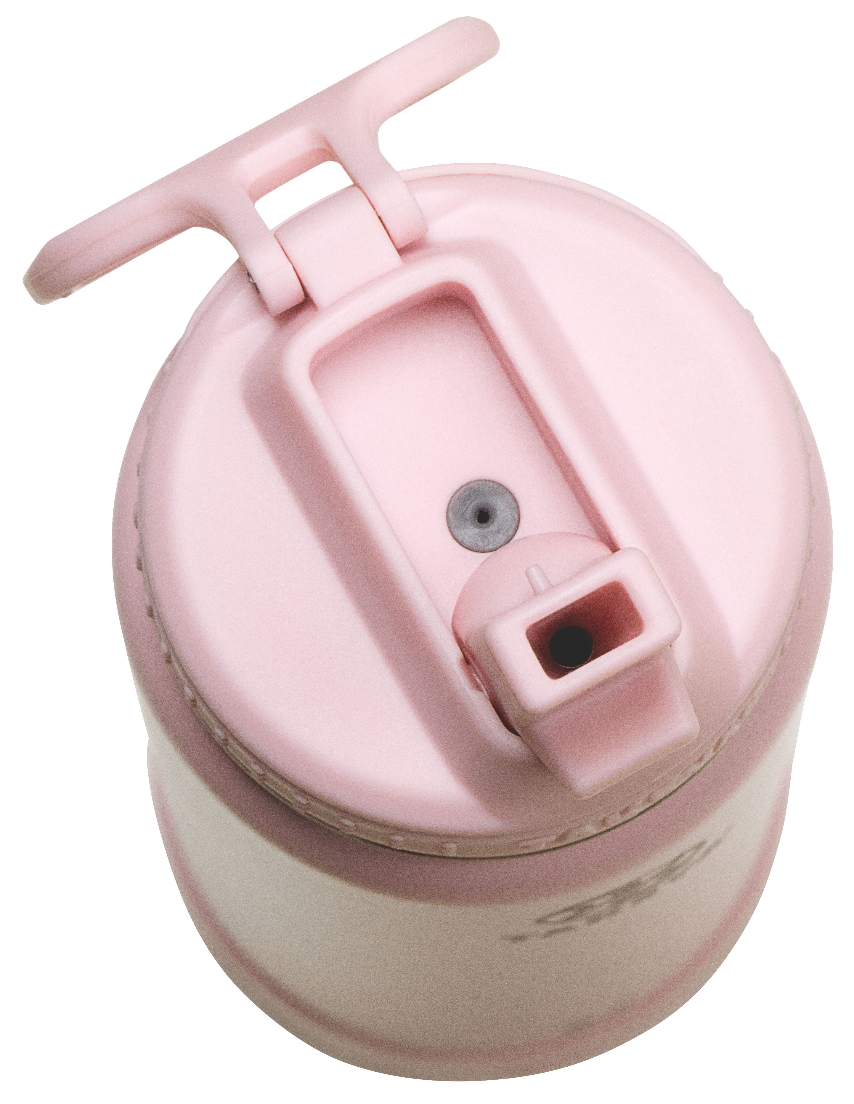 Actives Stainless Steel Water Bottle W/Straw Lid, 24Oz Blush