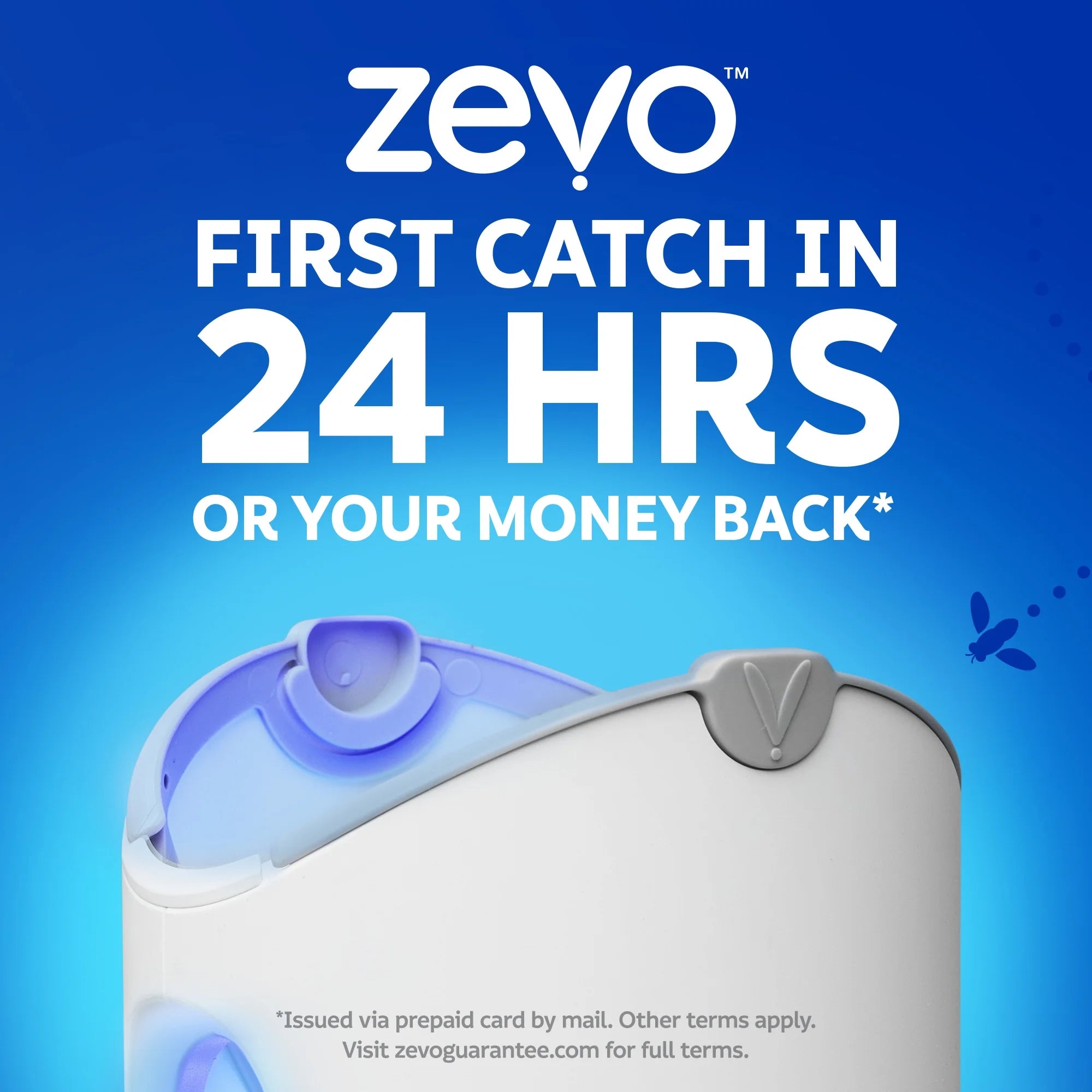 Max Flying Insect Trap: Light Trap Catches & Kills Fruit Flies, Gnats & More (1 Device & 2 Refills)