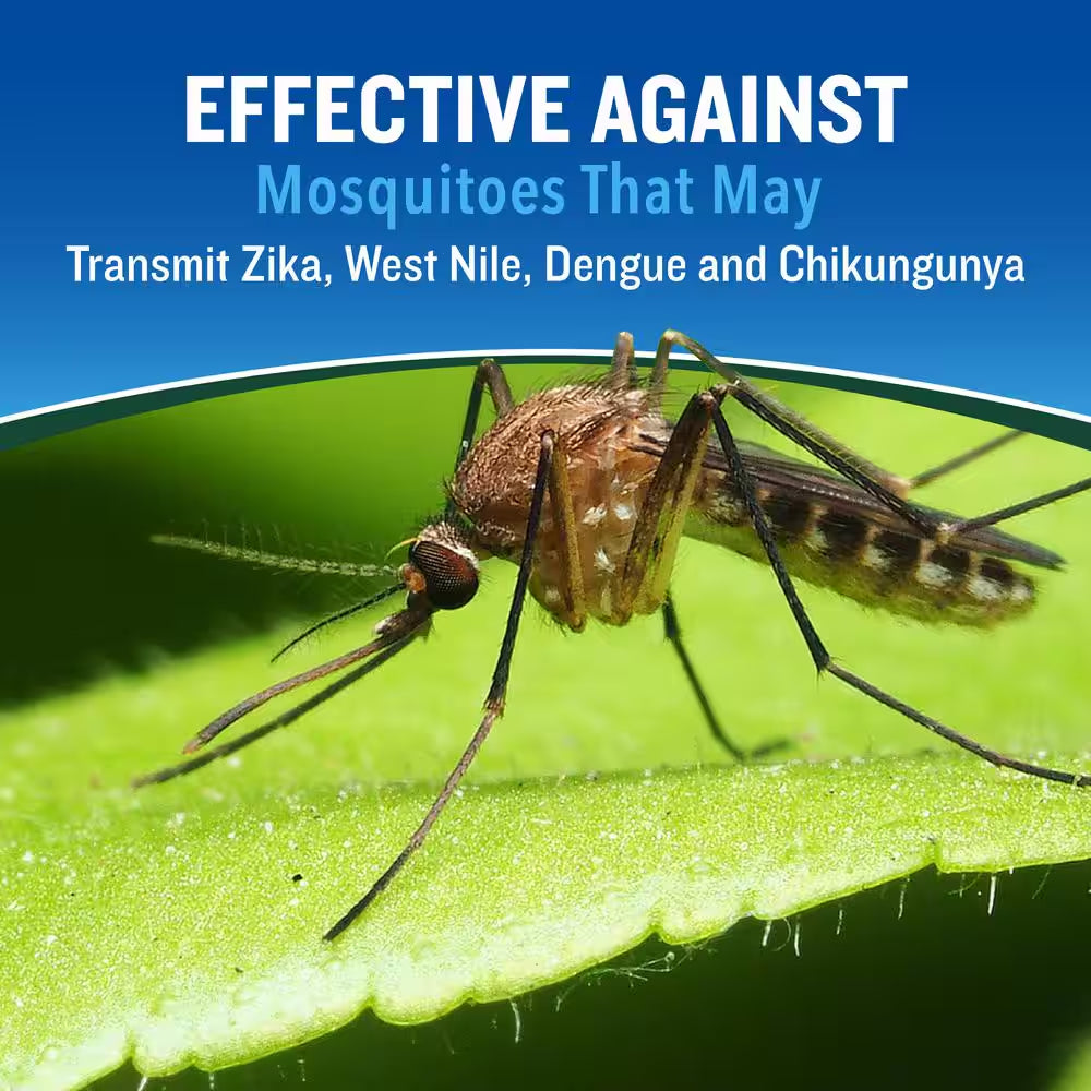 6 Oz. Backwoods Insect Repellent Aerosol Twin Pack