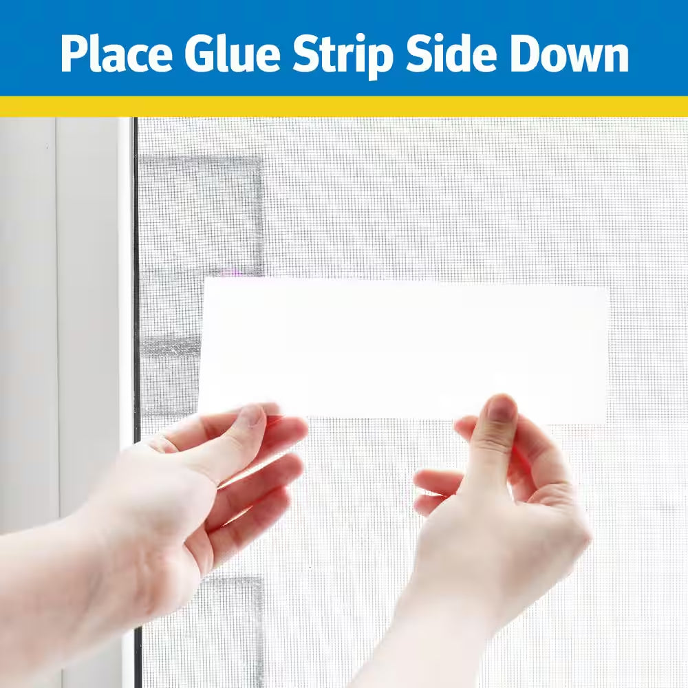 Window Fly Trap (4- Pack)