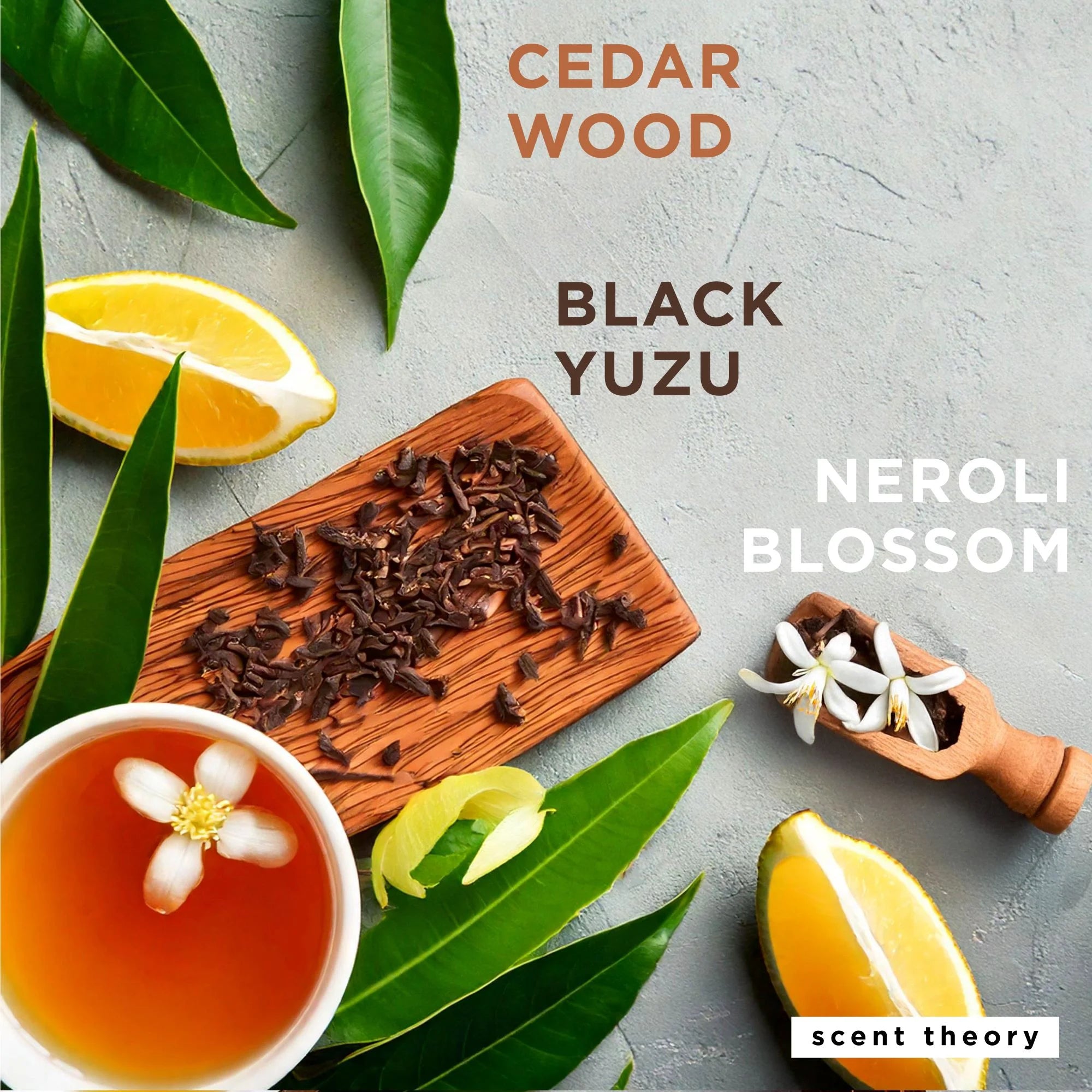 Foaming Hand Soap, Cedar and Black Citrus, 11 Fl Oz