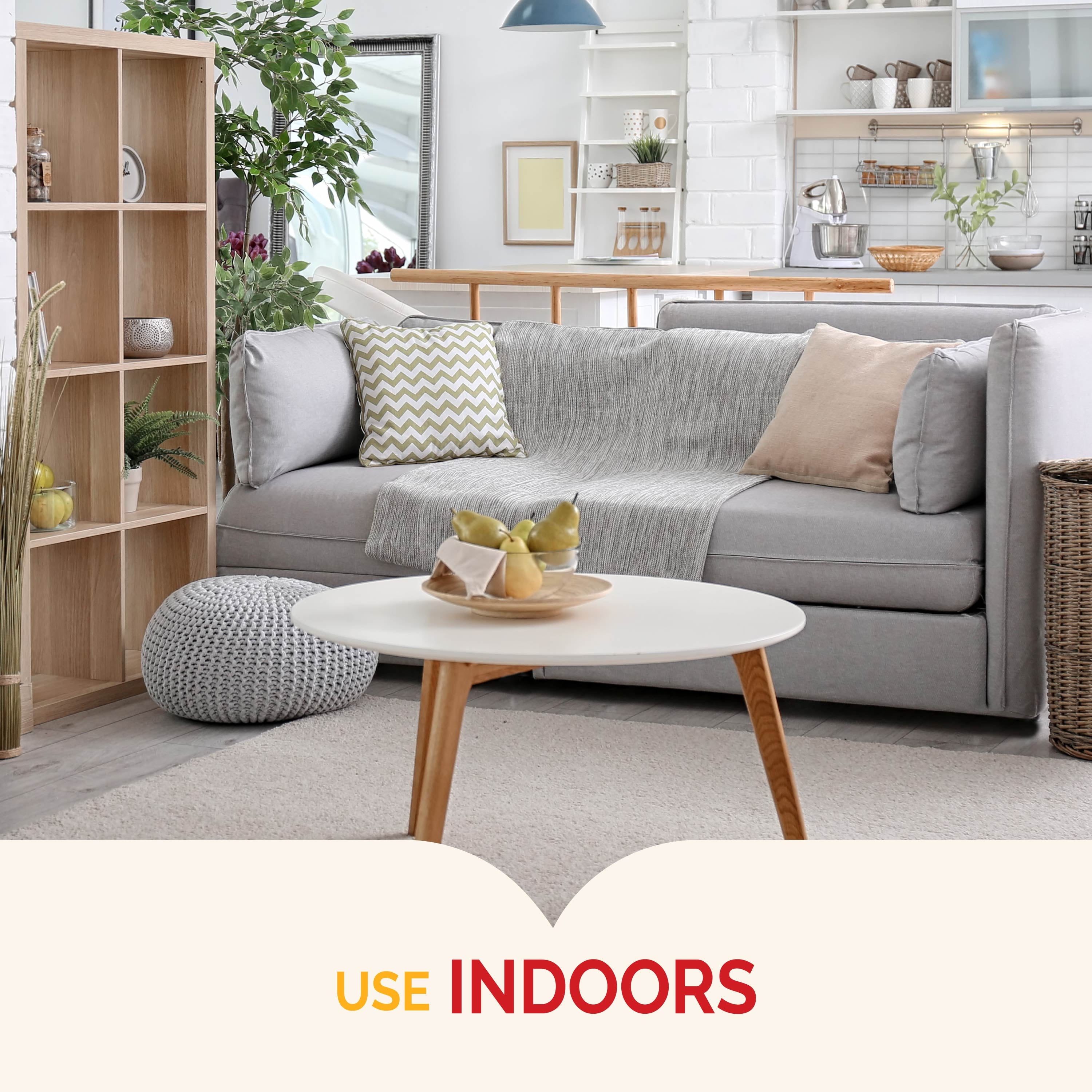 Ultra Liquid Ant Bait, Kills Common Household Ants, 4 Count