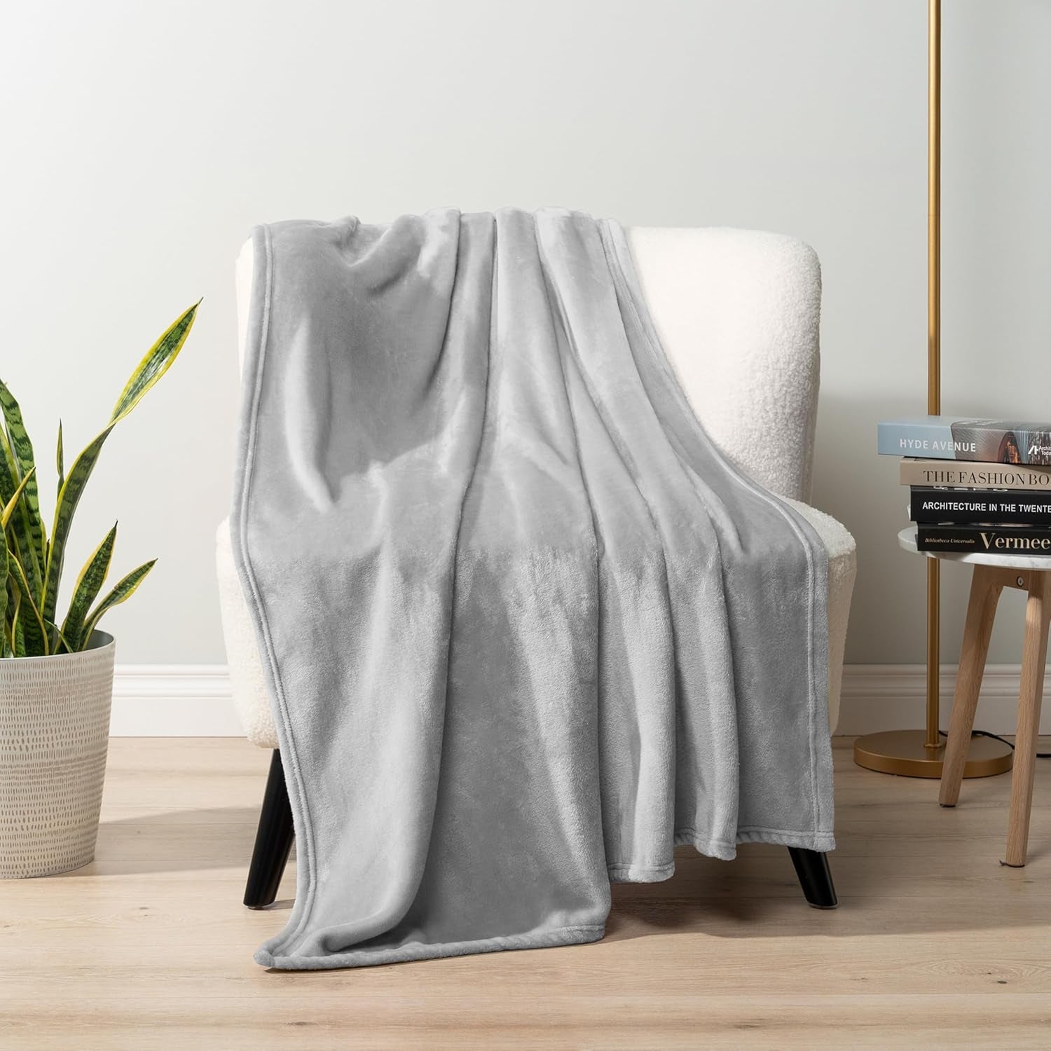 Light Grey Fleece Throw Blanket for Couch, Silver Super Soft Fuzzy Flannel Throw for Sofa, Luxury Plush Microfiber Bed Blanket, Cozy Home Decorative Velvet Gift Blanket, 50X60