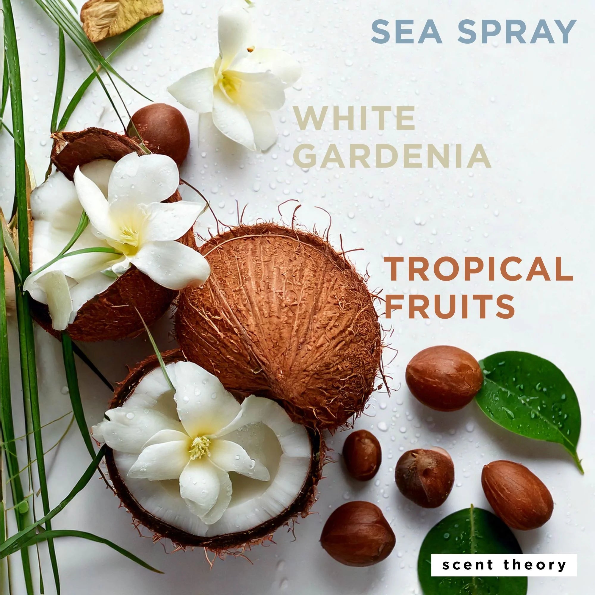 Foaming Hand Soap, Coconut and Ocean Mist, 11 Fl Oz