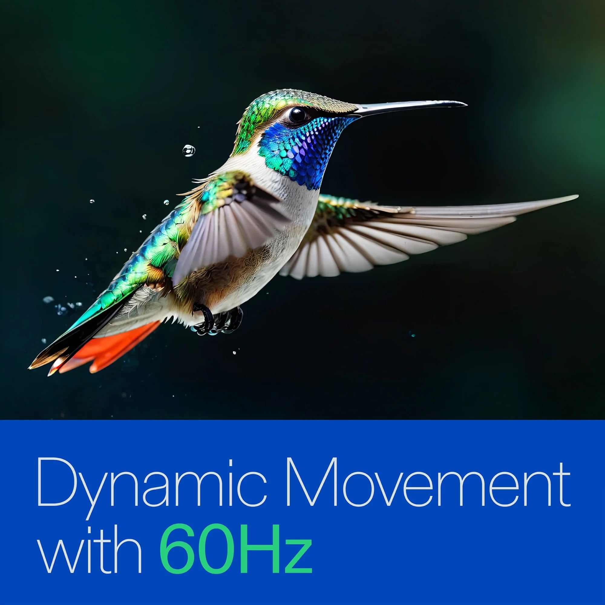 70” Class 4K UHD (2160P) LED Roku Smart Television HDR (100012588)