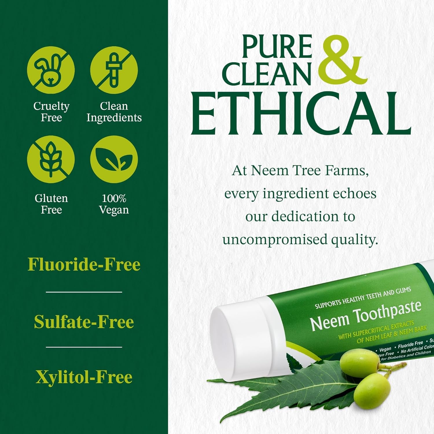 Neem Fluoride Free Toothpaste - Adult and Children Friendly - 100% Vegan Natural Toothpaste, Gluten Free, No Artificial Ingredients - Supports Daily Gum Care - with Clove & Stevia (4 Pack)