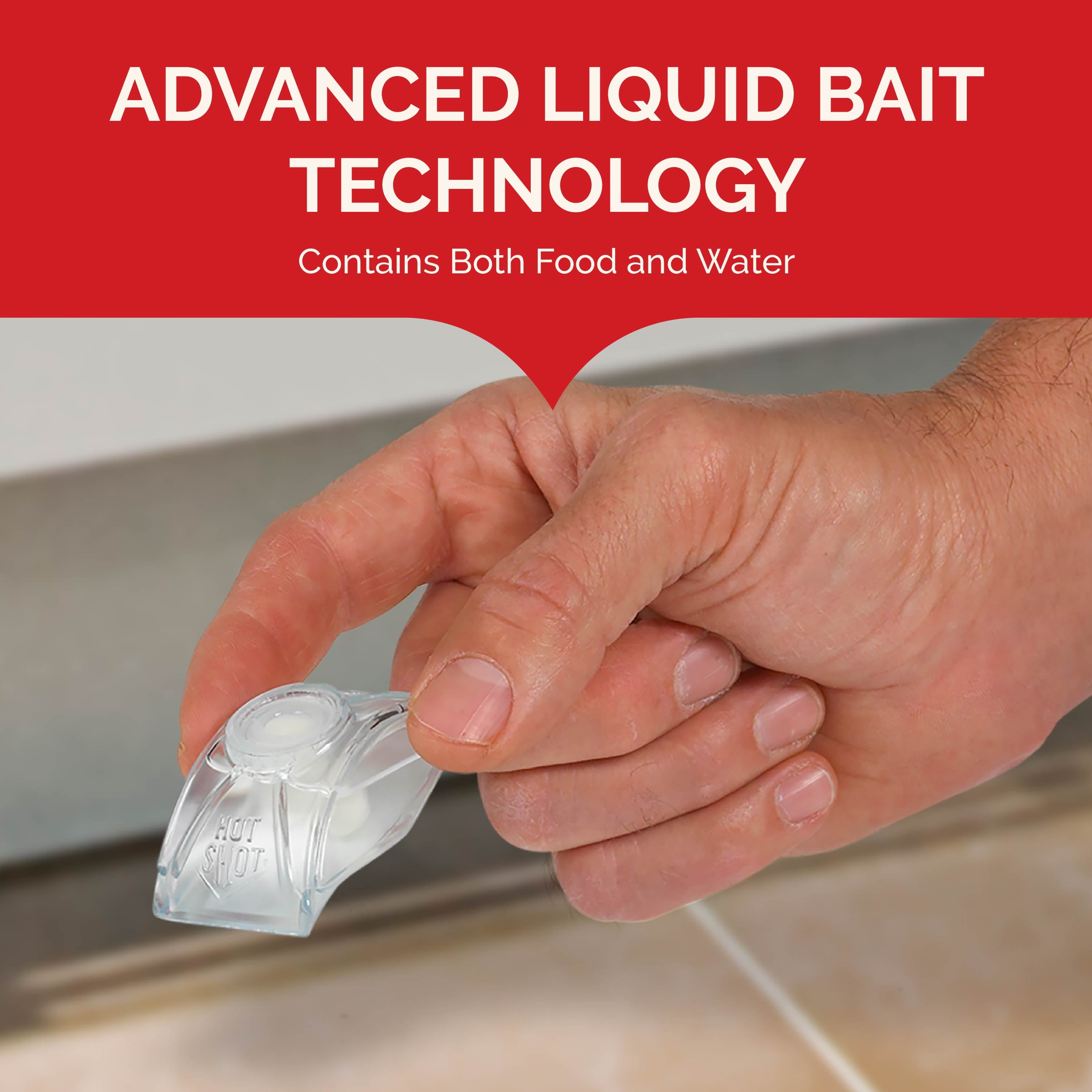 Ultra Liquid Ant Bait, Kills Common Household Ants, 4 Count