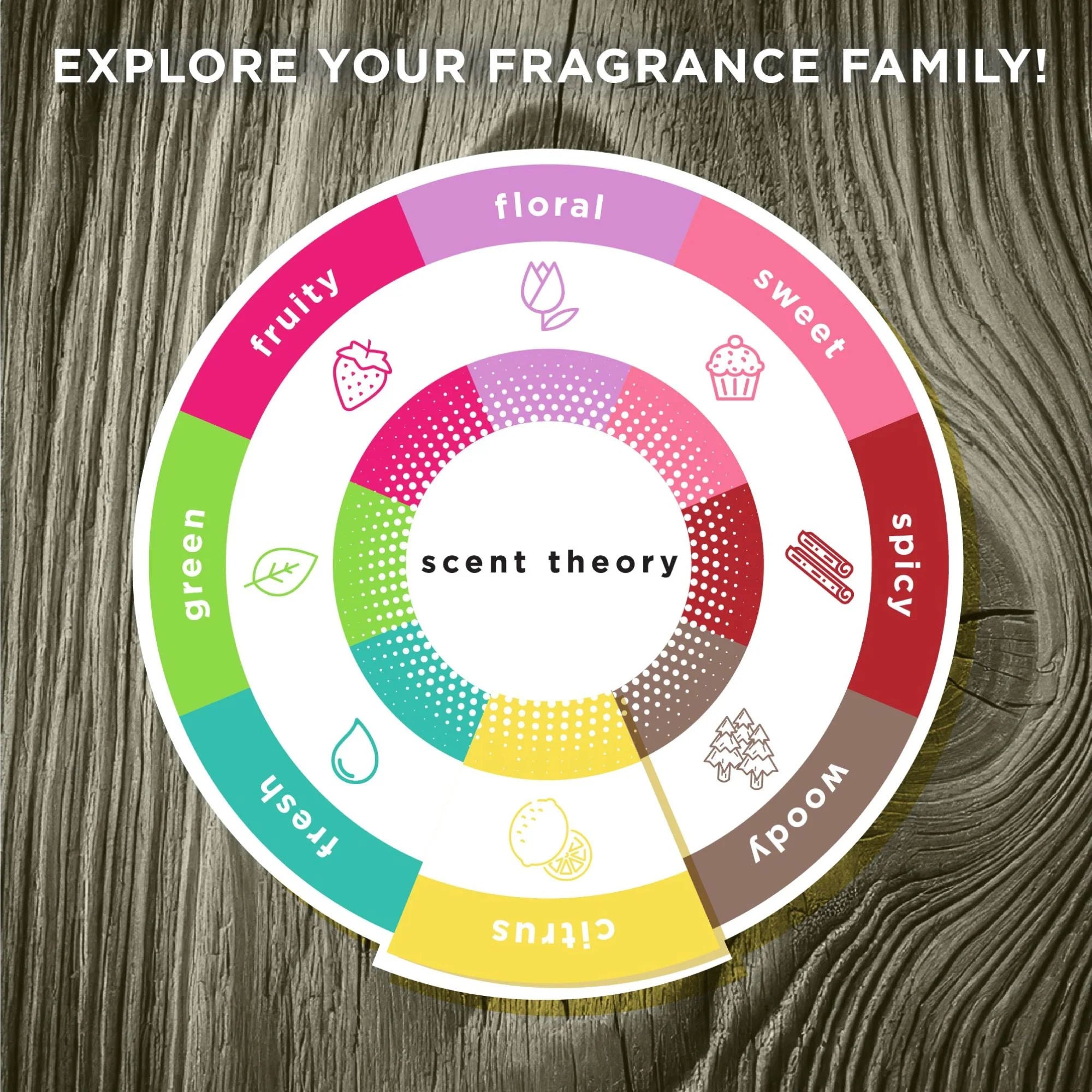 Foaming Hand Soap, Cedar and Black Citrus, 11 Fl Oz