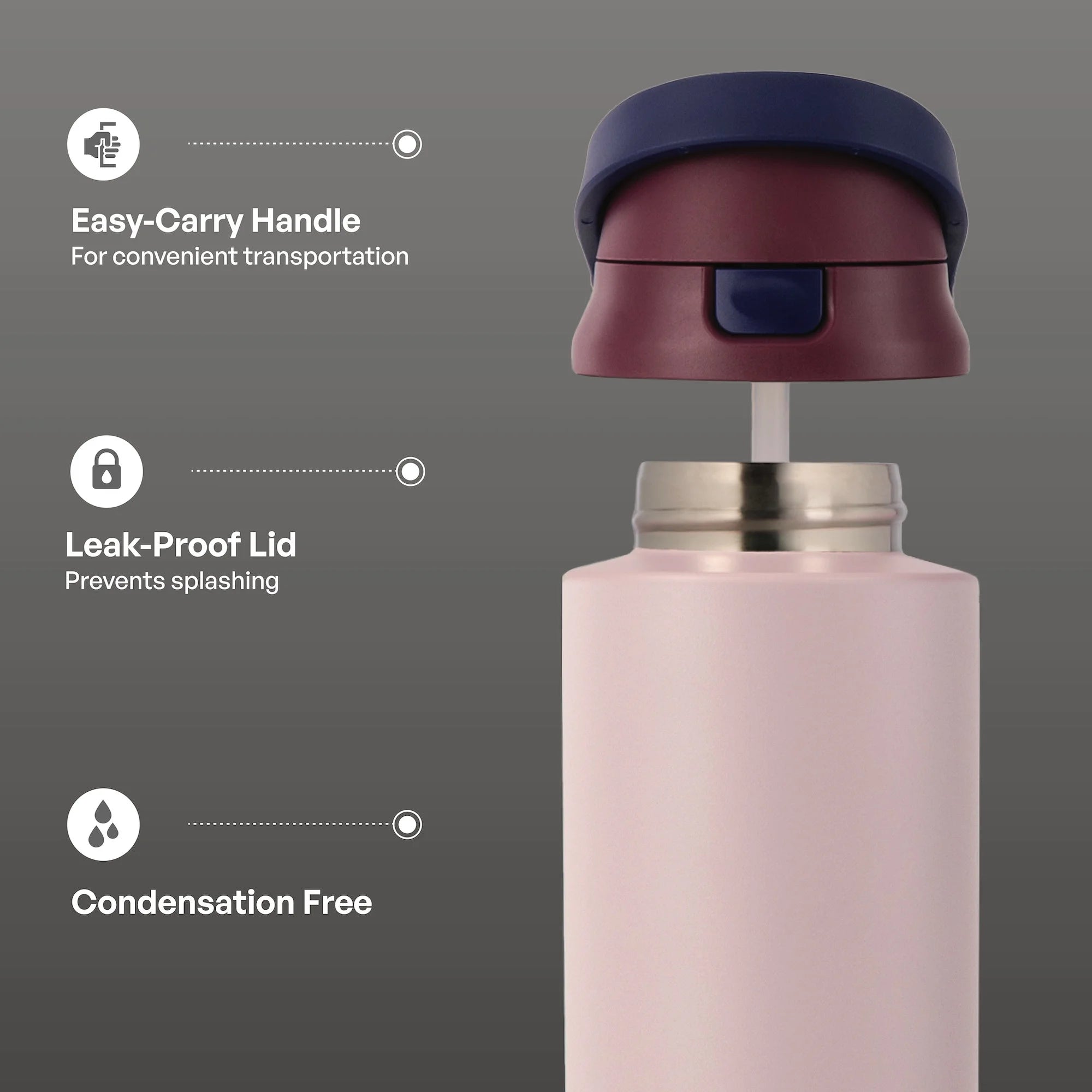 Stainless Steel 2-In-1 Straw and Chug Water Bottle with Push Lid 24 Fl Oz, Mauve