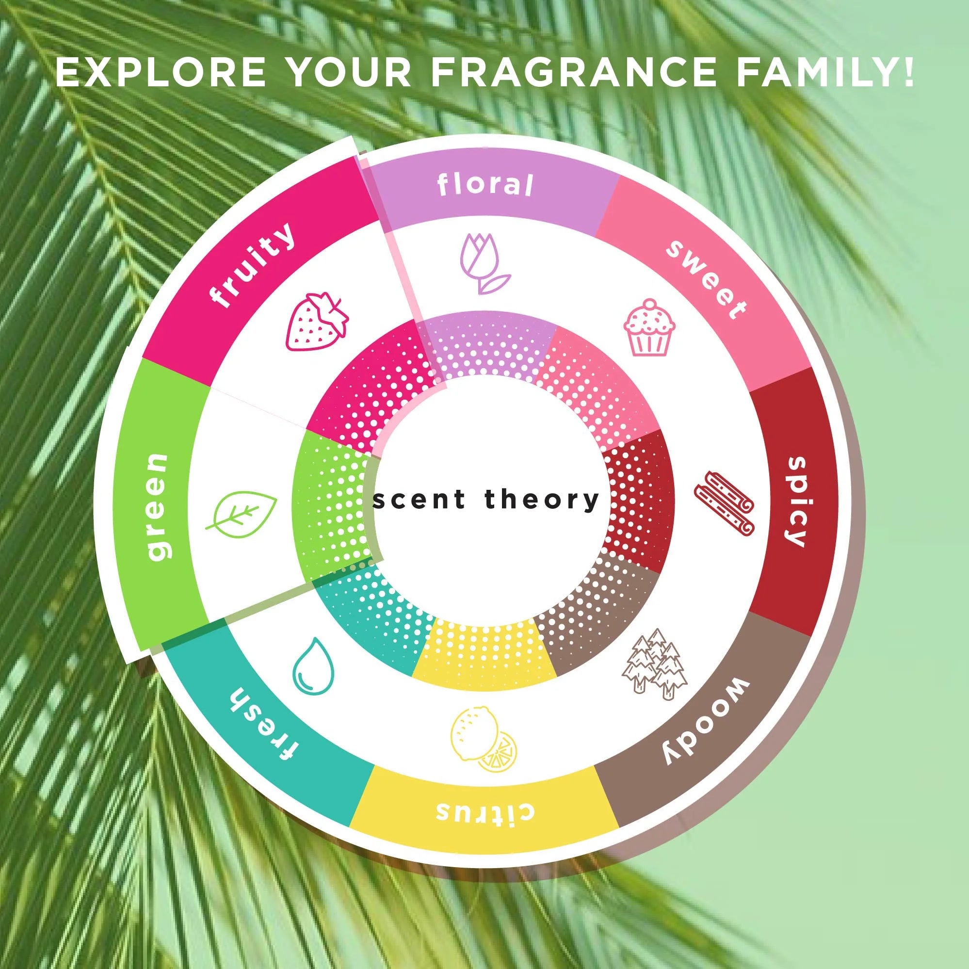 (2 Pack)  Foaming Hand Soap, Island Aloe, 11 Fl Oz