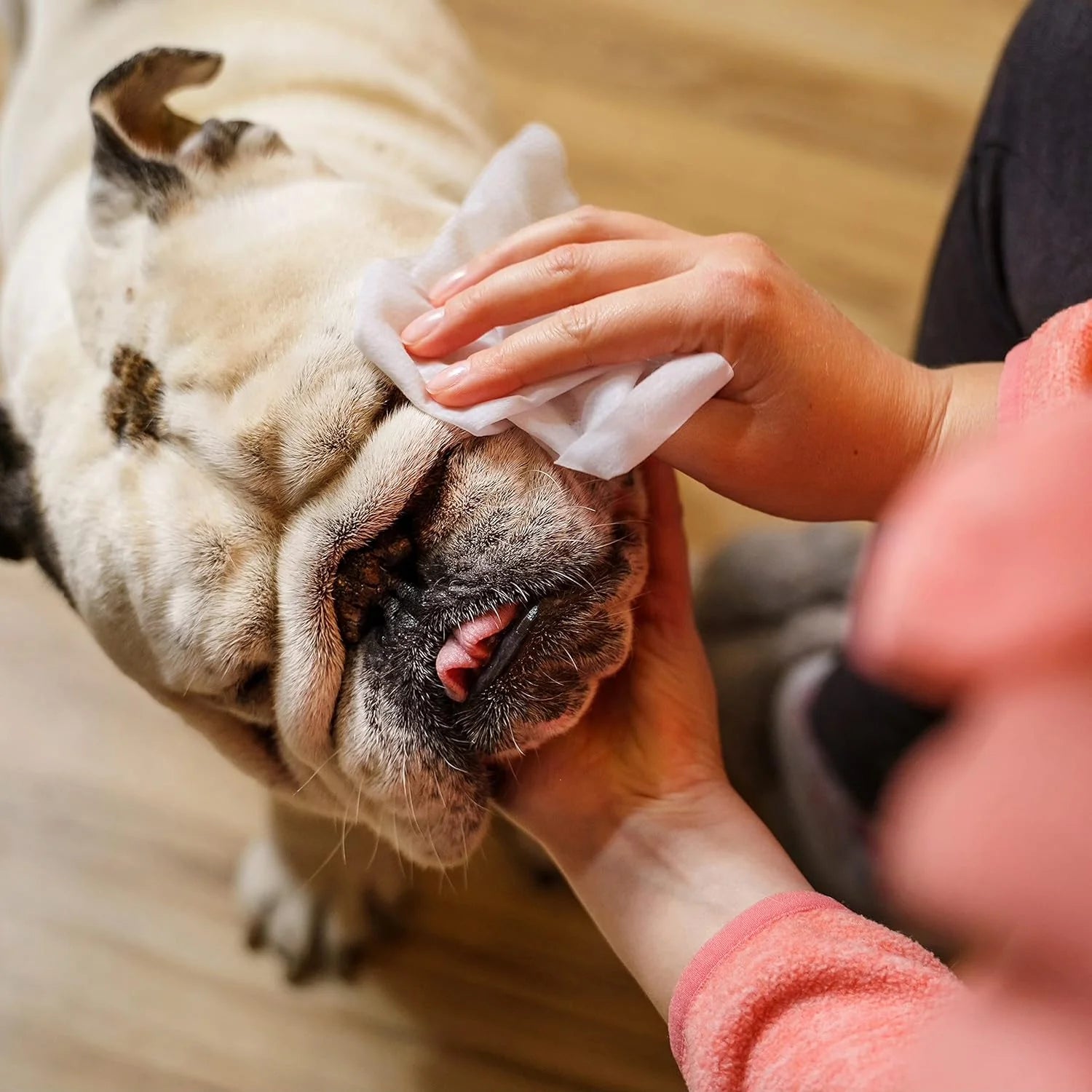 Pet Wipes for Dogs and Cats, Deodorizing Dog Wipes for Paws and Butt (2 Pack)