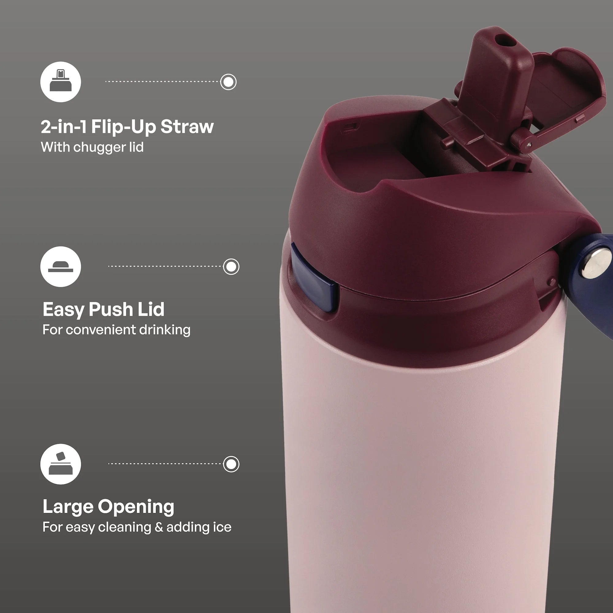 Stainless Steel 2-In-1 Straw and Chug Water Bottle with Push Lid 24 Fl Oz, Mauve