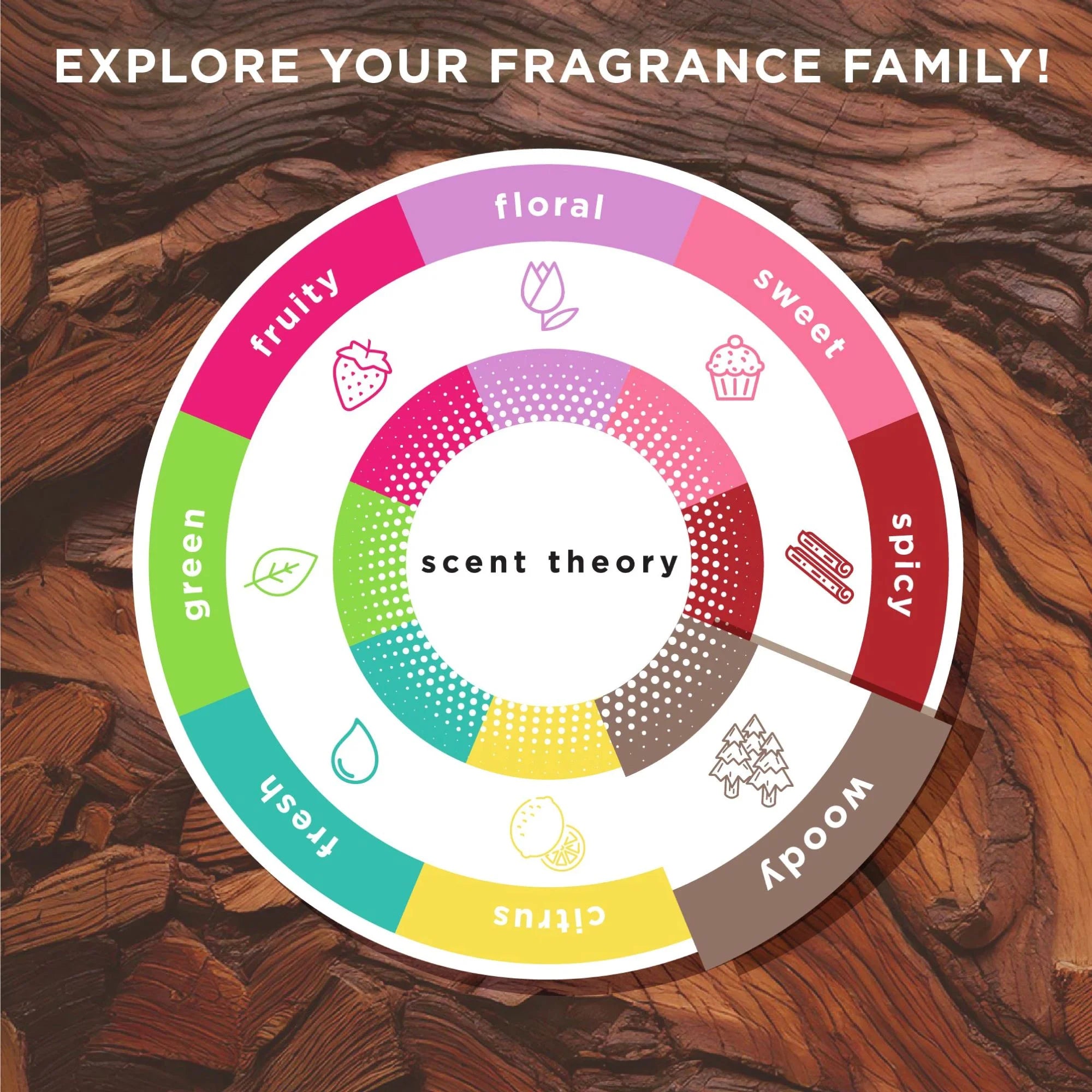 Foaming Hand Soap, Sandalwood and Cracked Oat, 11 Fl Oz