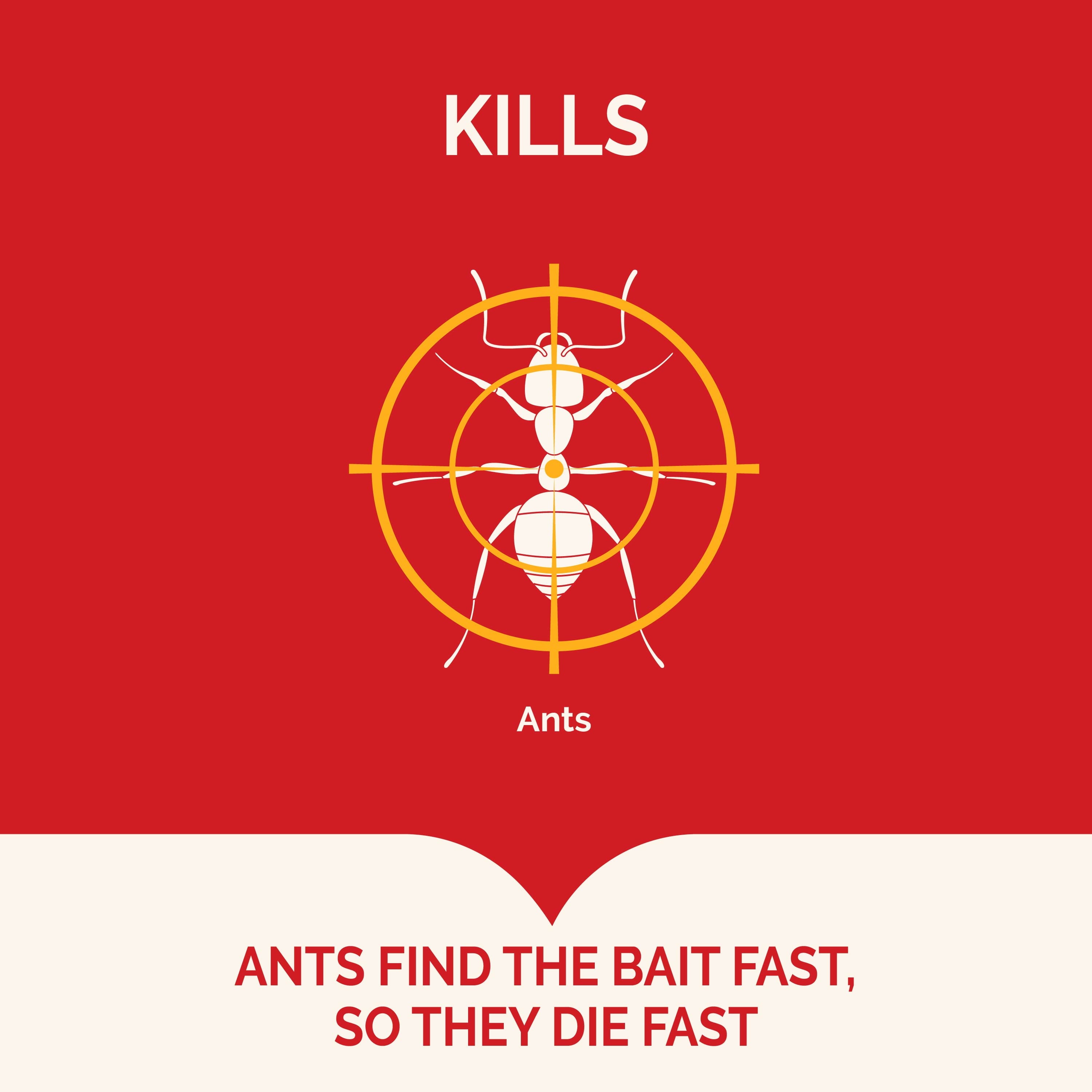 Ultra Liquid Ant Bait, Kills Common Household Ants, 4 Count