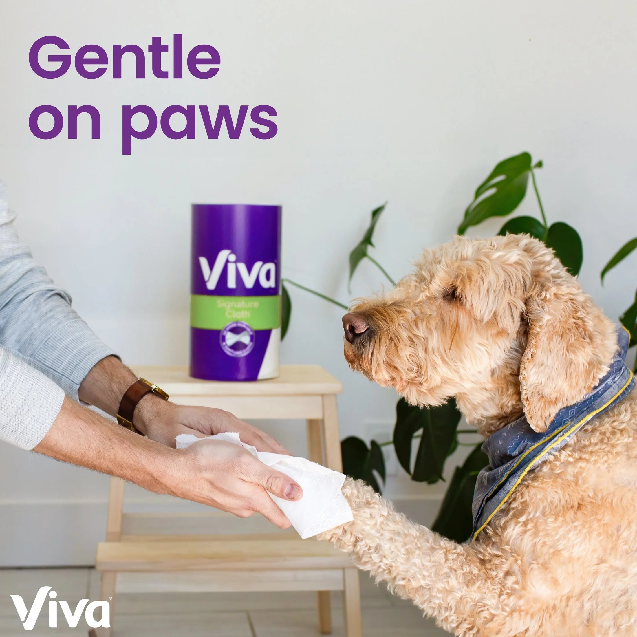 Signature Cloth Paper Towels, 6 Triple Rolls