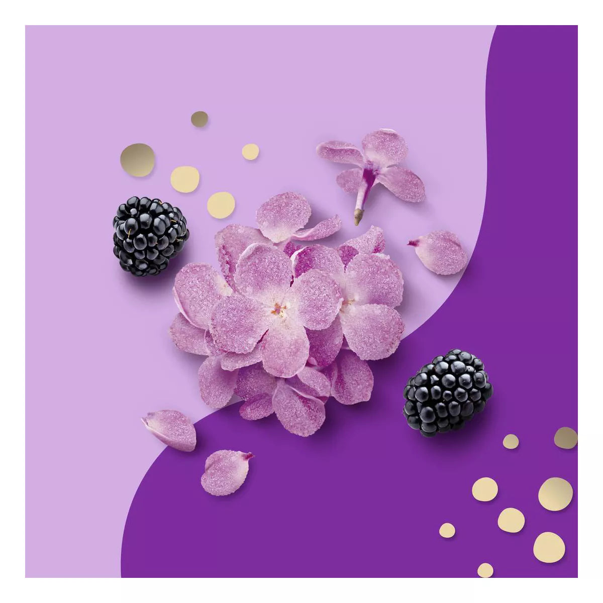 Beloved Candied Lilac & Blackberry 1-Wick Candle - 7Oz