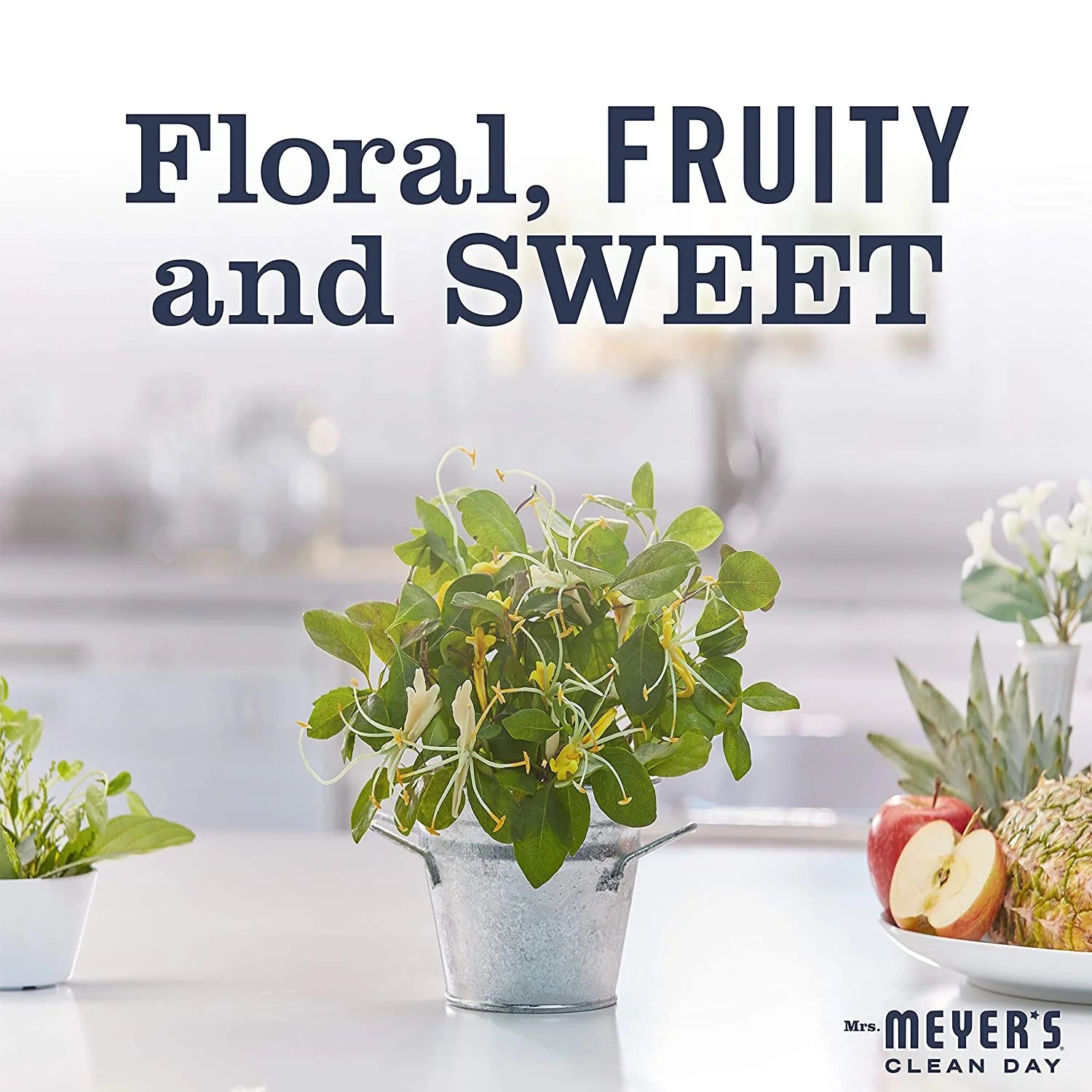 Clean Day Hand Soap Variety, 1 Honey Suckle Refill, 1 Honey Suckle Hand Soap, 1 CT