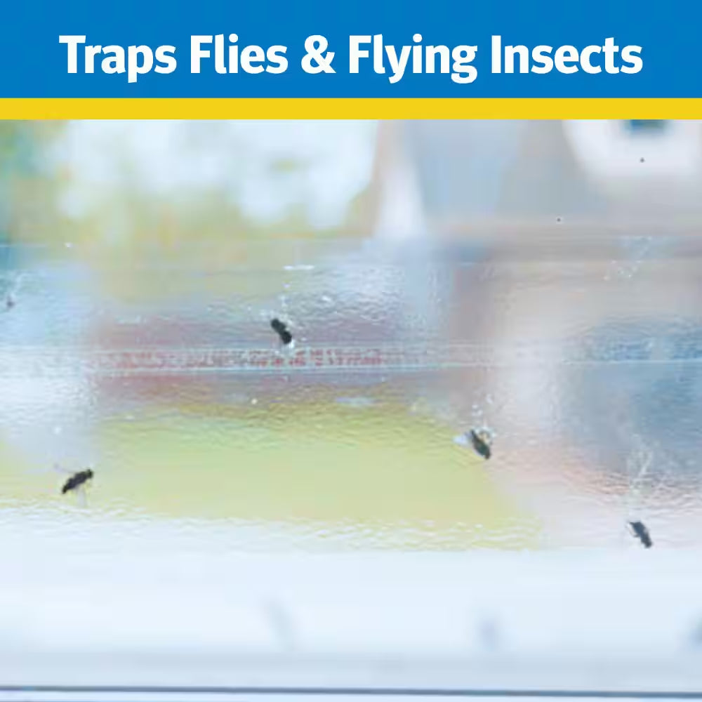 Window Fly Trap (4- Pack)
