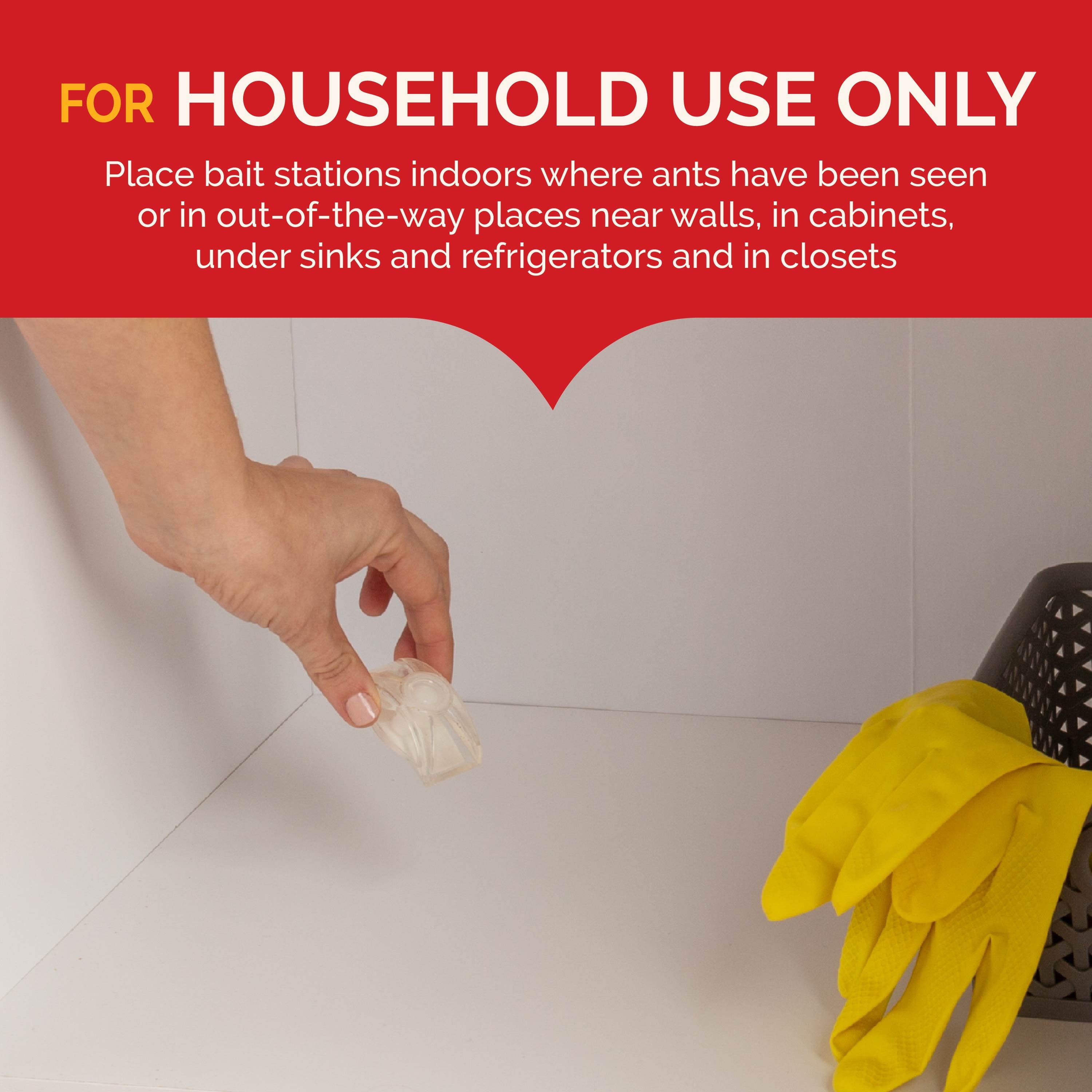 Ultra Liquid Ant Bait, Kills Common Household Ants, 4 Count